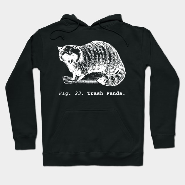 Trash Panda / Science Raccoon / white edition. Hoodie by winterwinter